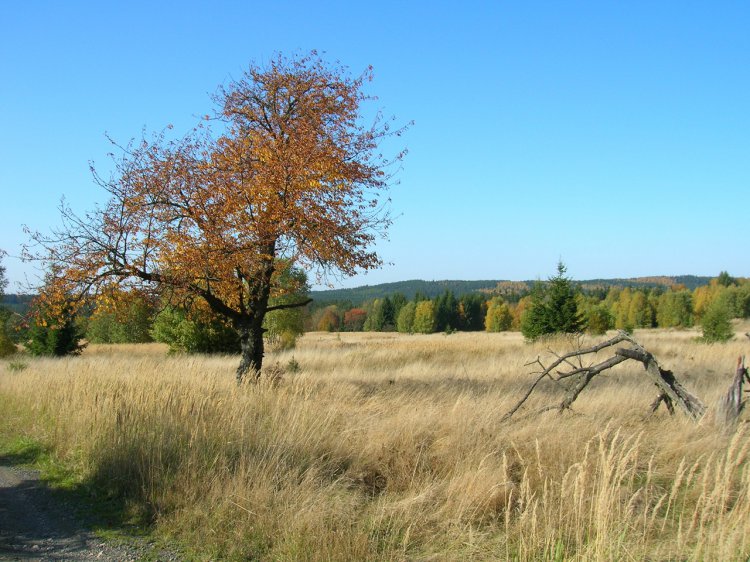 Zadní Záběhlá