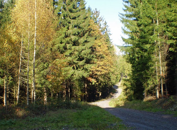 Okolí hájovny Okrouhlík