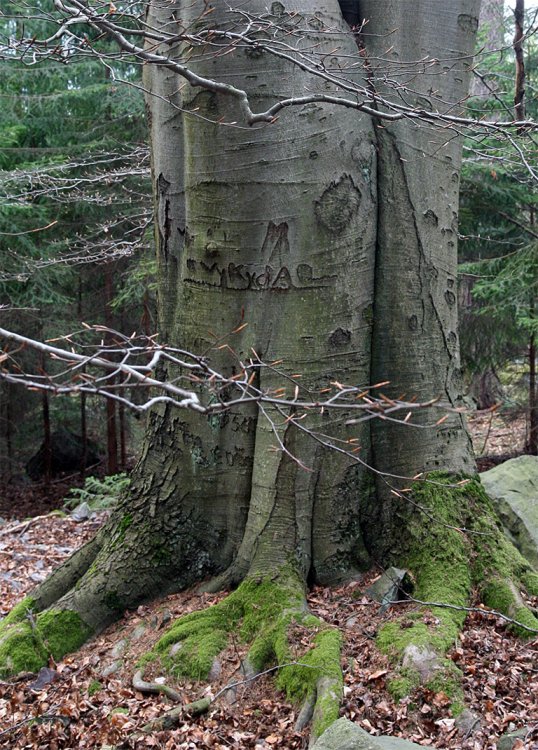 Pod Růžkem