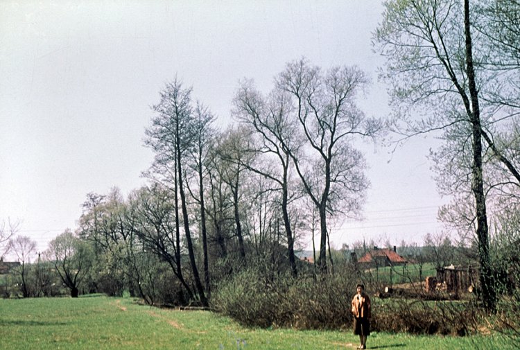 U Boreckého potoka, 1964