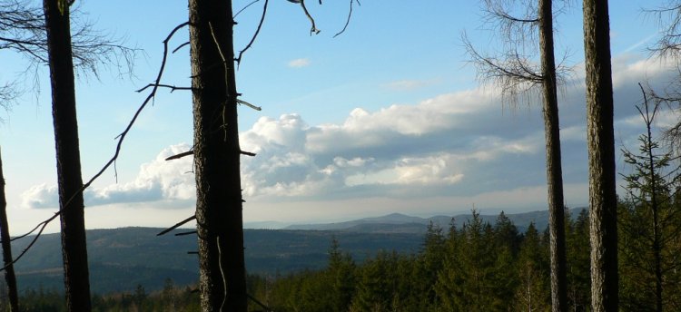 hřeben přírodního parku Trhoň viditelný  z úbočí Koruny