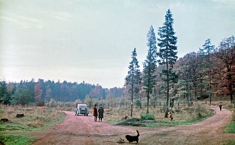 U Zbiroha, pravděpodobně rezervace Kohoutov, 1964