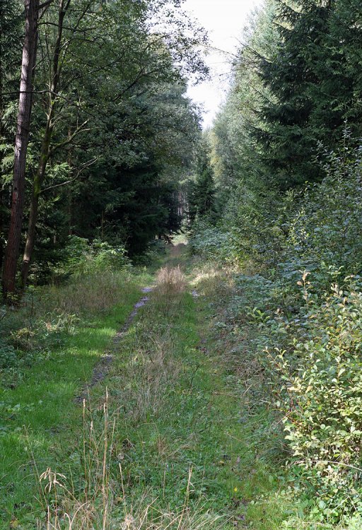 Obvodová komunikace úseku 