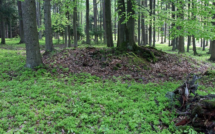 Lipovsko - rozvaliny vnějšího pláště pece