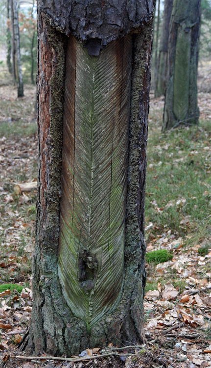 Lizina z doby 2. sv. války, vrch Čilina