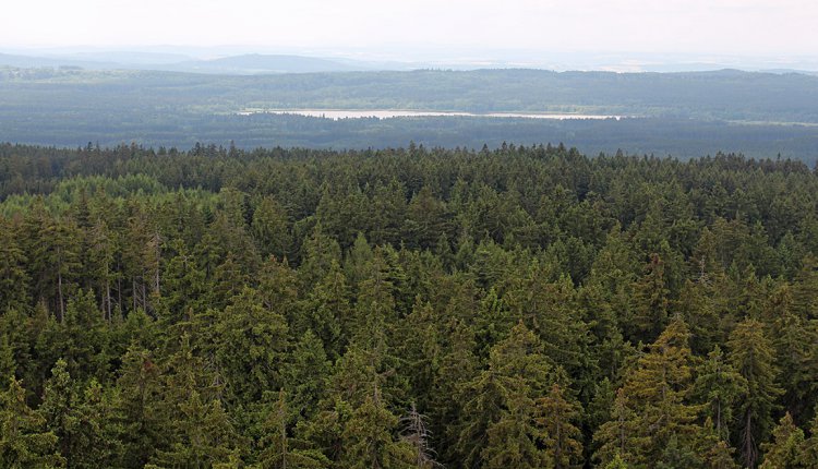 Rozhled z meteoradaru na Praze - Hořejší Padrťský rybník