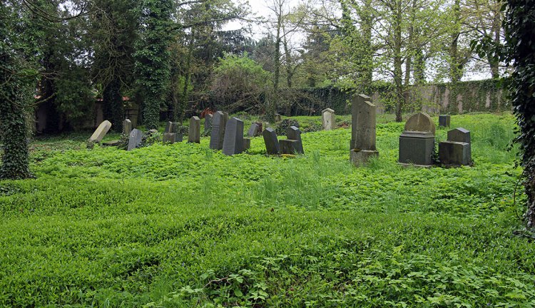 Židovský hřbitov v Dobříši