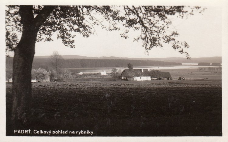 Padrť - celkový pohled na rybníky