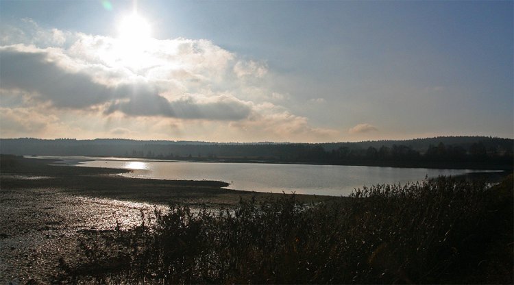 Dolejší padrťský rybník po výlovu, listopad 2009