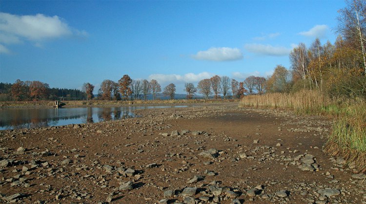 Dolejší padrťský rybník po výlovu, listopad 2009