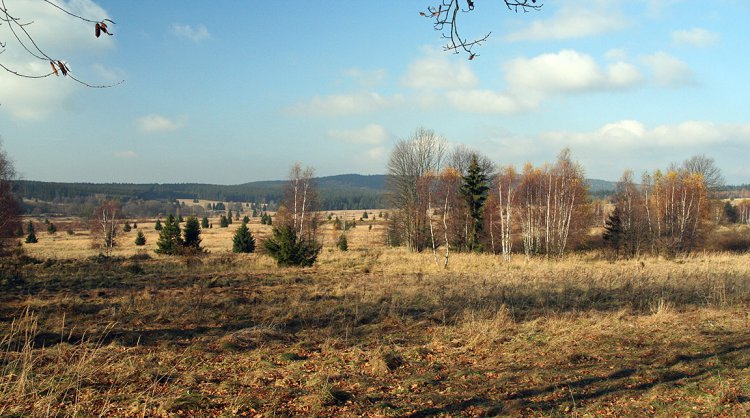 Padrťské pláně