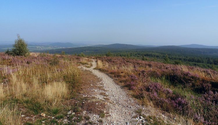Jordán a okolí