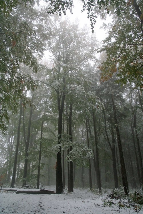 Podzim 2009