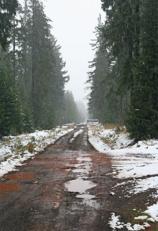 Podzim 2009