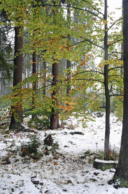 Podzim 2009
