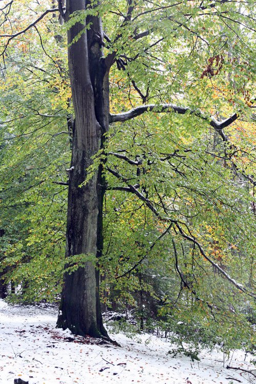 Podzim 2009