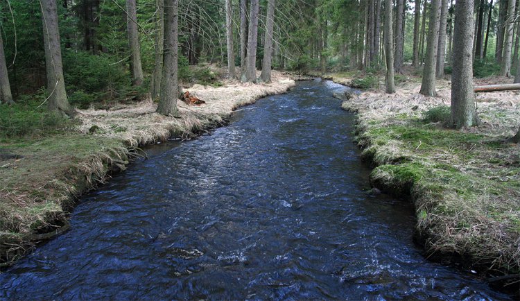 Padrťský potok alias Klabava kousek pod pláněmi