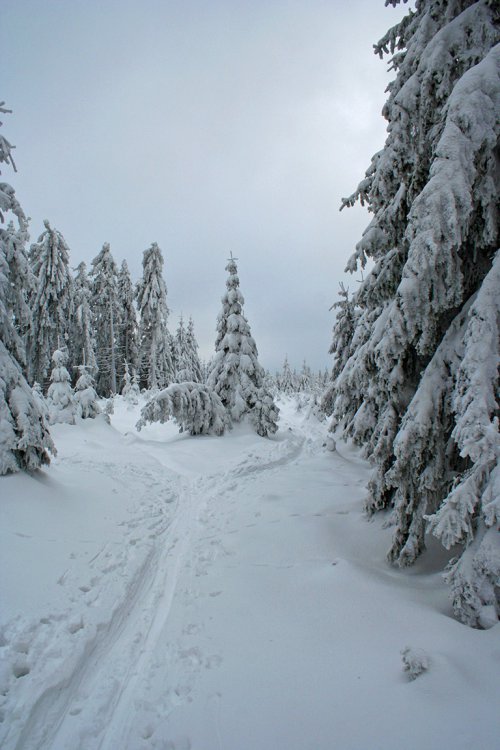 Střední Brdy pod sněhem