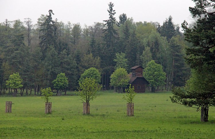 Obora Aglaia