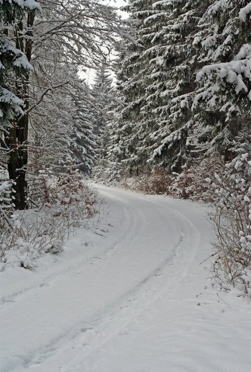 Pod Okrouhlíkem