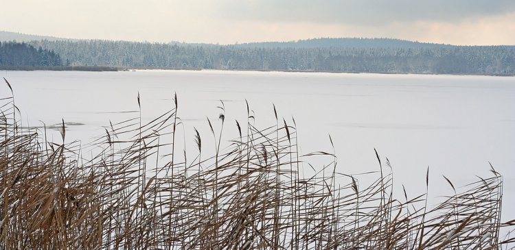 Hořejší padrťský rybník