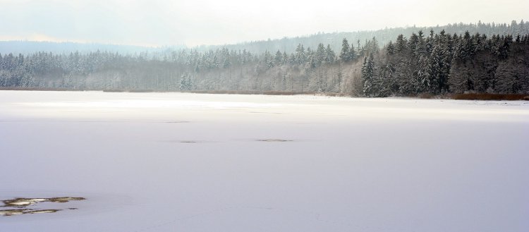 Hořejší padrťský rybník