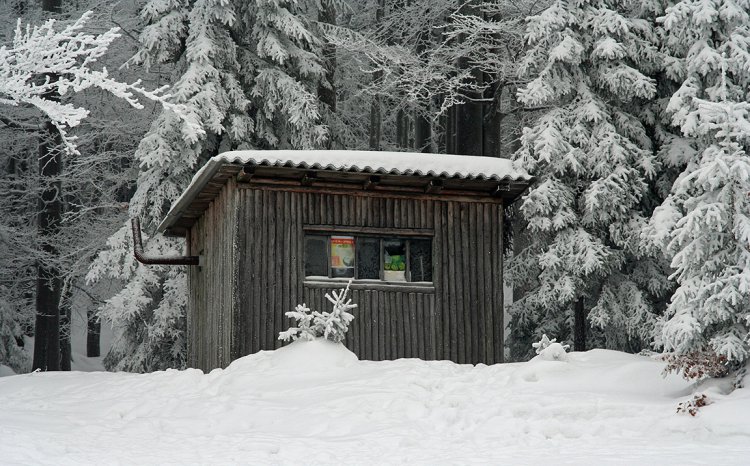Lesnická bouda na úbočí Hlavy