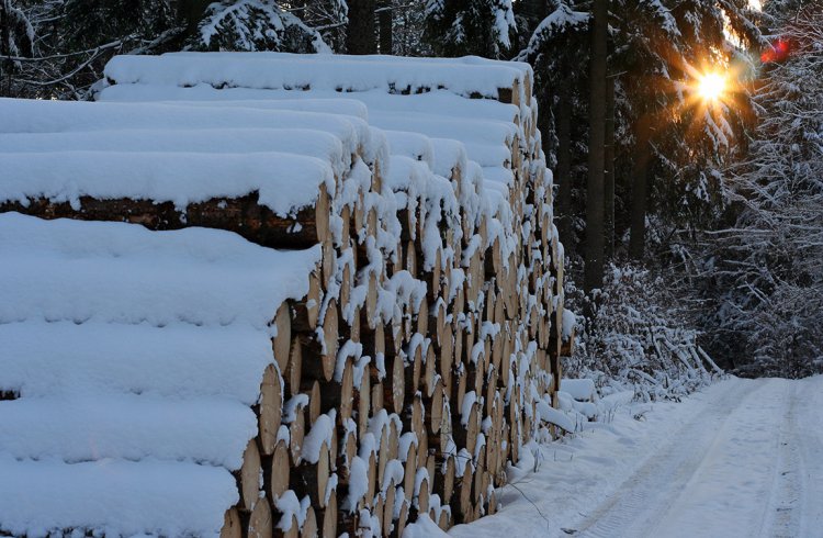 Mezi Okrouhlíkem a Trokaveckou skálou se těží v zimě 2010 ostošest