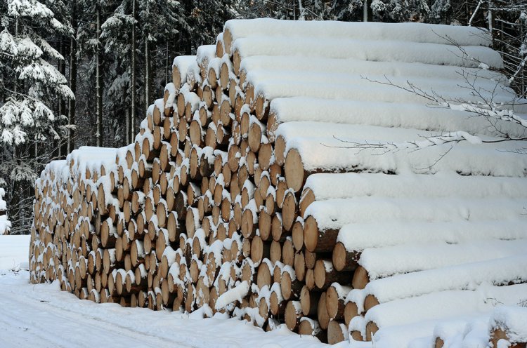 Mezi Okrouhlíkem a Trokaveckou skálou se těží v zimě 2010 ostošest