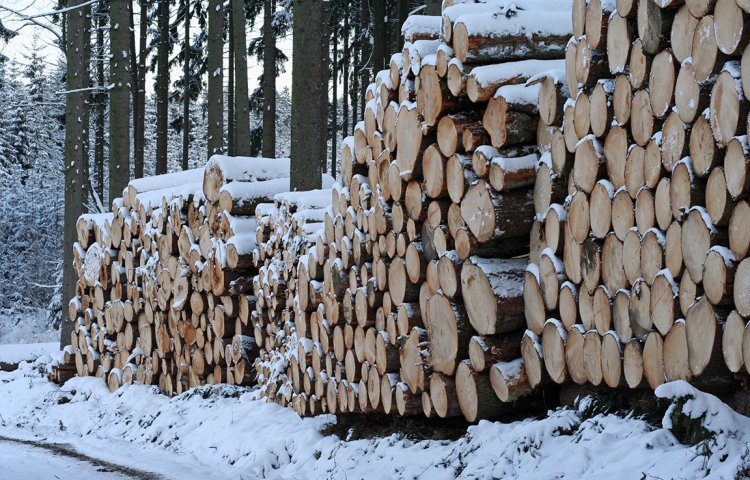 Mezi Okrouhlíkem a Trokaveckou skálou se těží v zimě 2010 ostošest