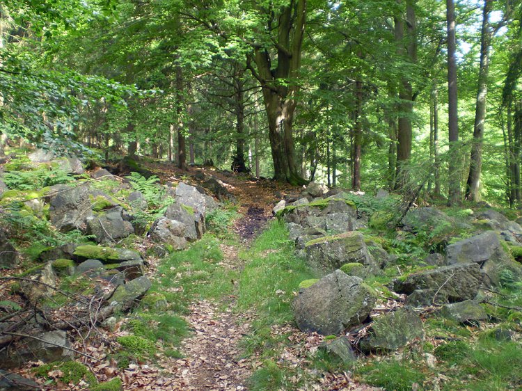 Beran