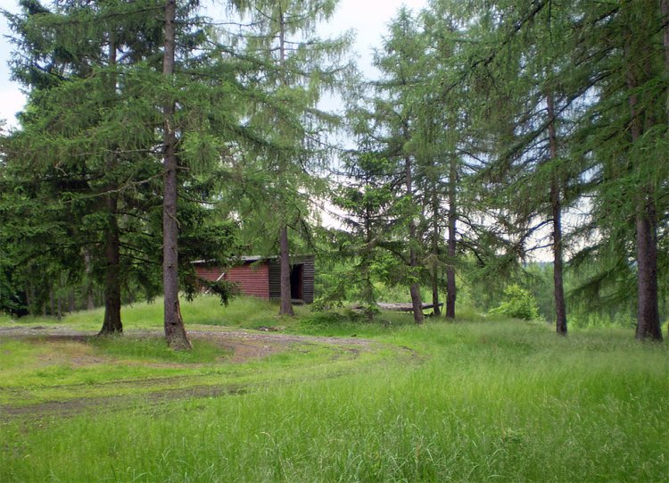 Beran