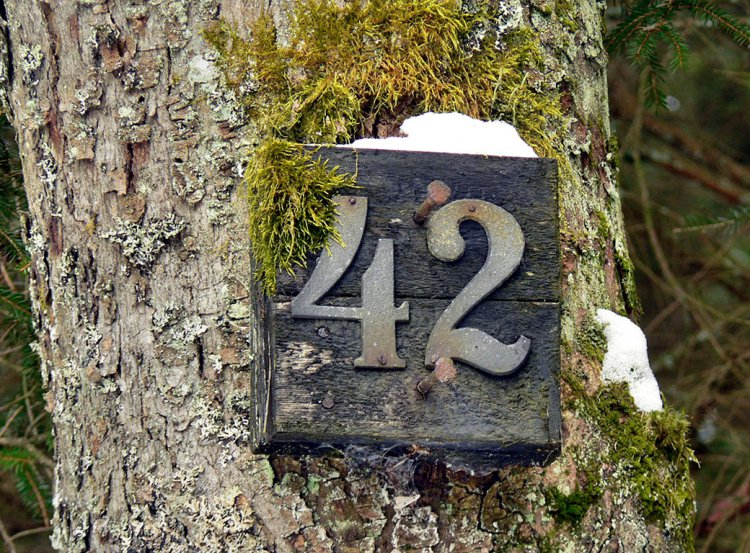 Brdská numerologie