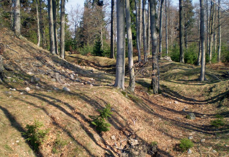 Hengst a okolí