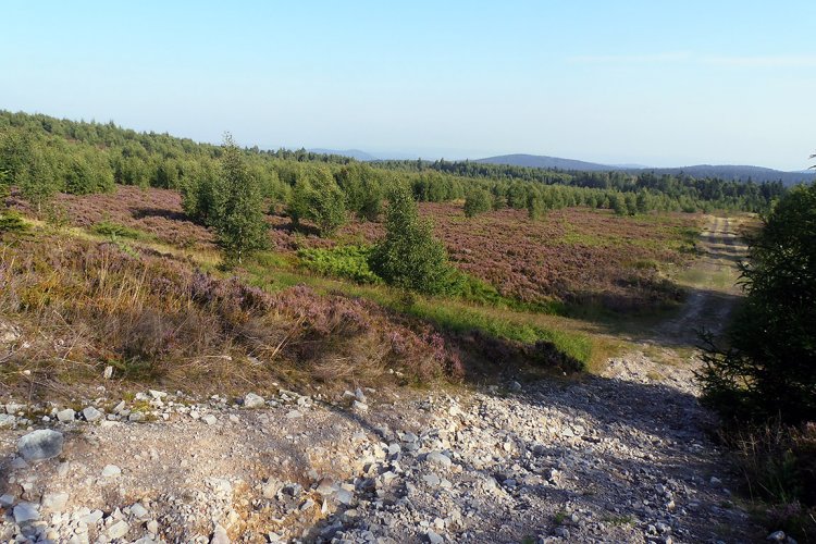 Jordán a okolí
