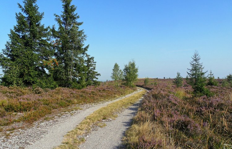 Jordán a okolí