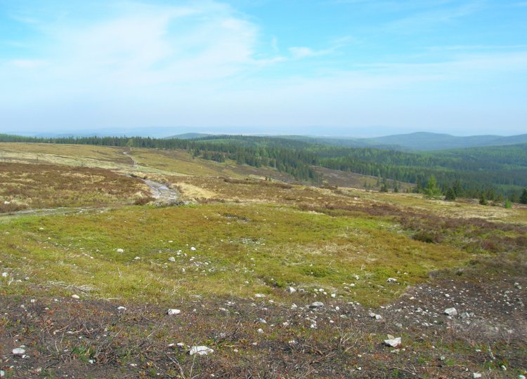 Jaro na Toku