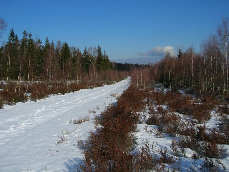 Jordán