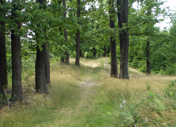 Kuchyňka 635,6 m