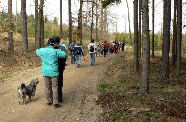 Miniexpedice Po stopách smolaření na Rokycansku