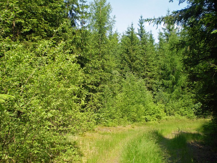 Na Kloboučku