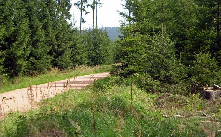 Několik obrázků z bývalého polesí Varta