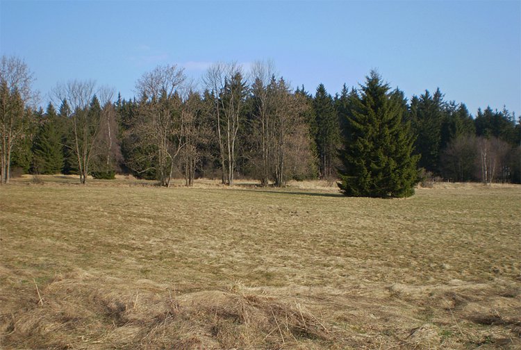 Skála Marie Terezie a okolí