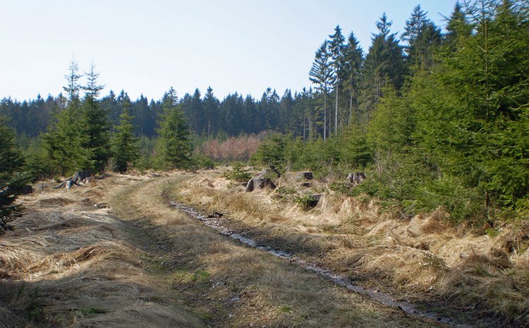 Skála Marie Terezie a okolí