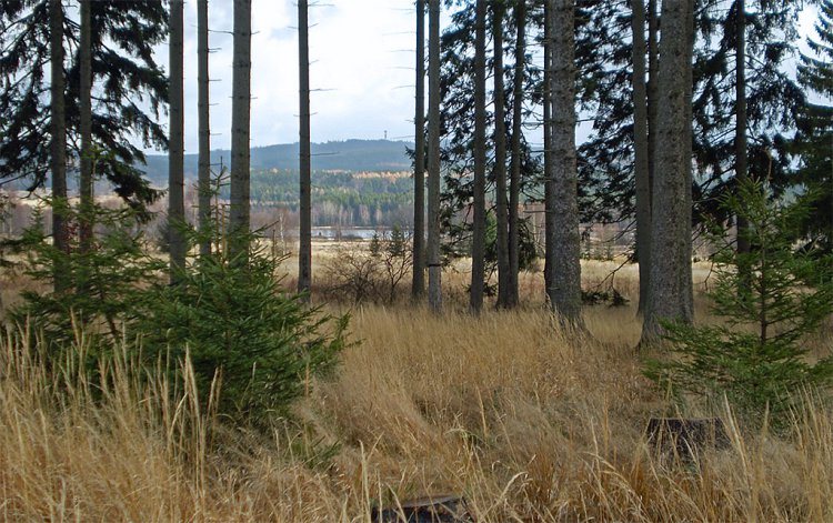 Skála Marie Terezie a okolí