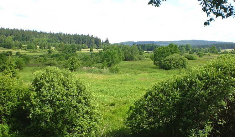 Padrťské rybníky a okolí
