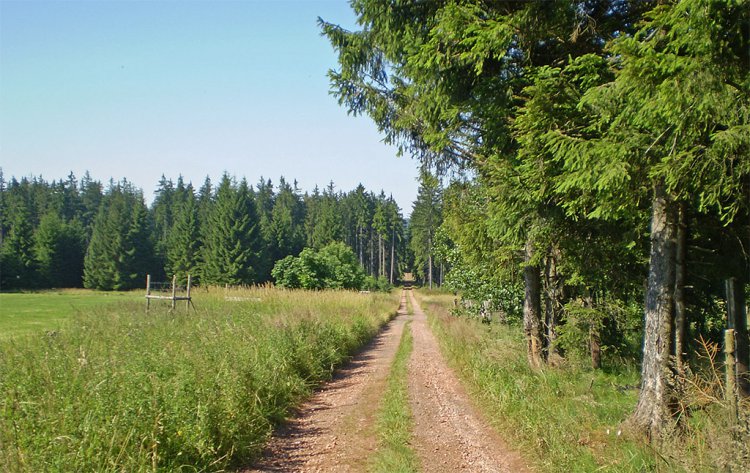 Padrťské rybníky a okolí