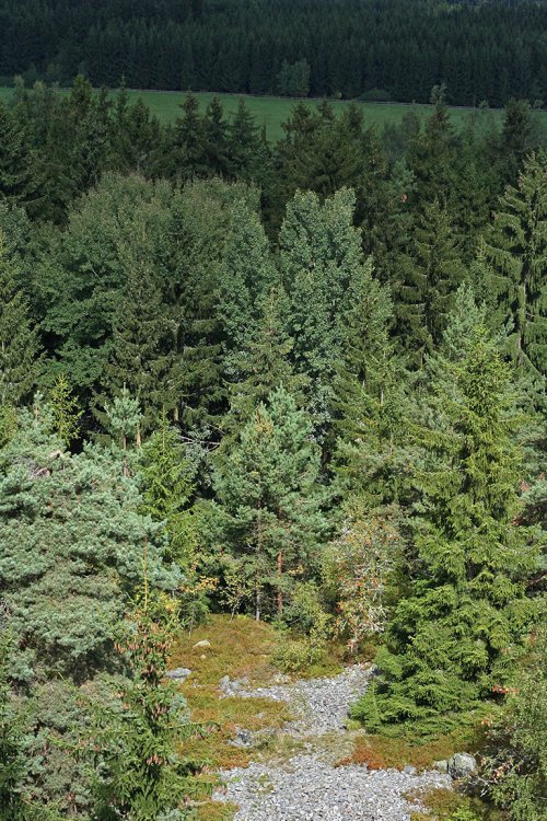 Suťové pole pod rozhlednou Na Skále poblíž Železného újezda