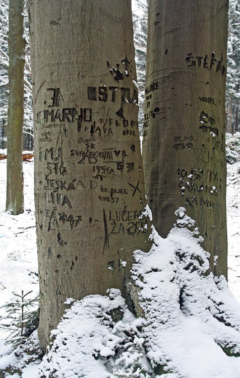 Jinecké Hřebeny