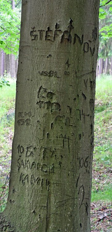 Jinecké Hřebeny